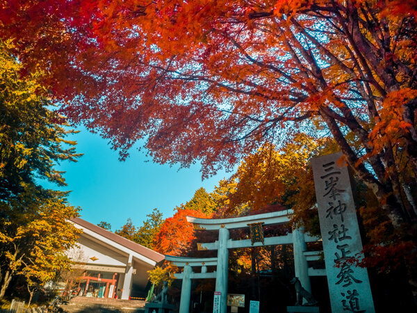 （三峯神社様提供）使用時は必ず神社に連絡すること　三峯神社紅葉.jpg