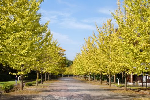 秋のおすすめスポット