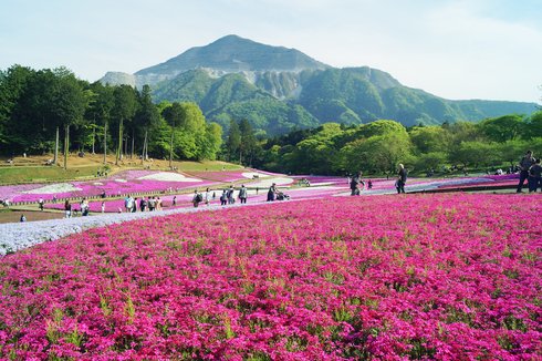 春のおすすめスポット