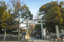 秩父神社 の写真3