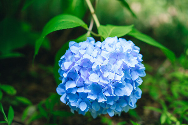 5_2306080018_resize.jpg