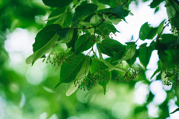 7_2306080044_resize.jpg
