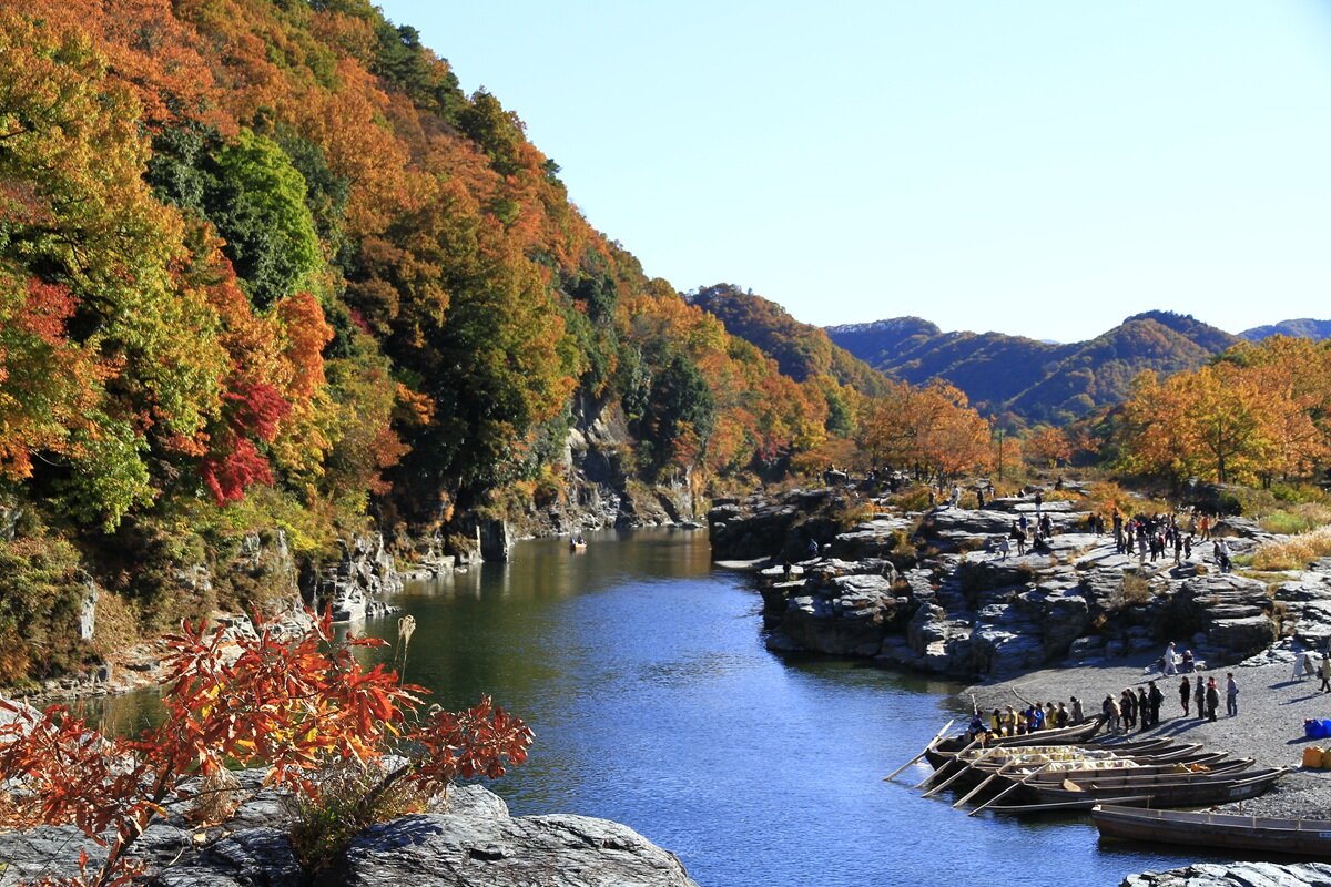 _MG_8159.JPG