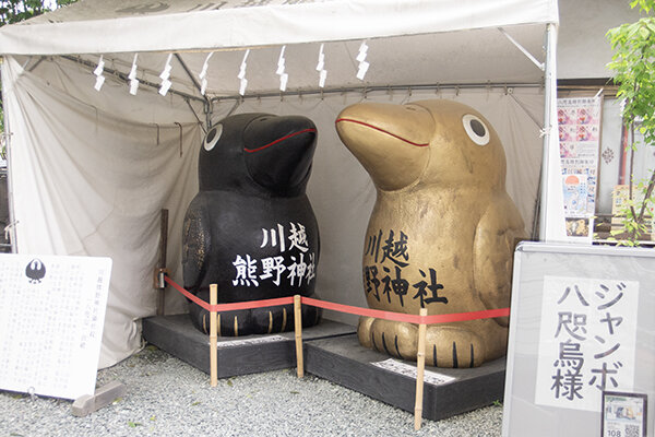 P4185757.jpg